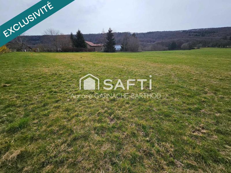 Terrain - 1 317 m²