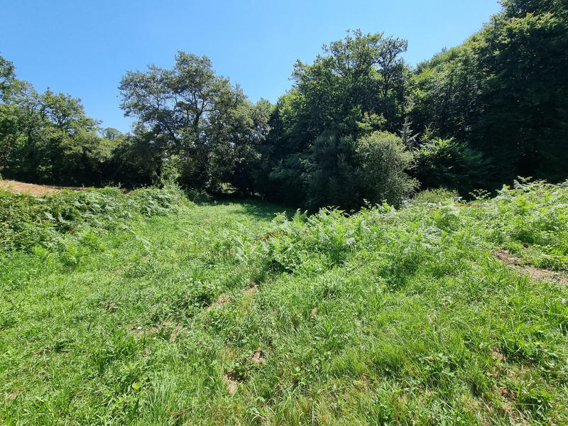 Terrain - 14 264 m²