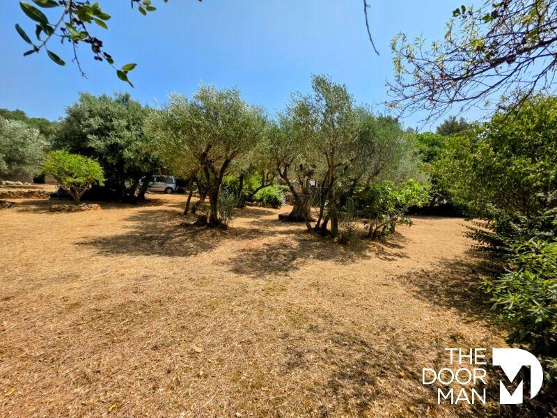 Maison - 39 m² - 2 pièces