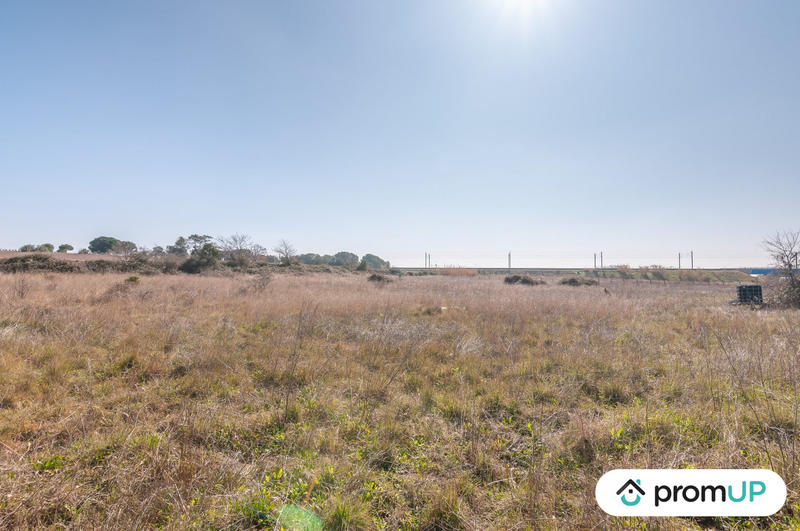 Terrain agricole - 5 000 m²