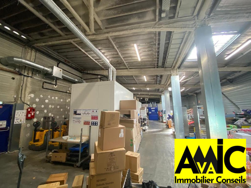 Local commercial - 1 226 m² - 5 pièces