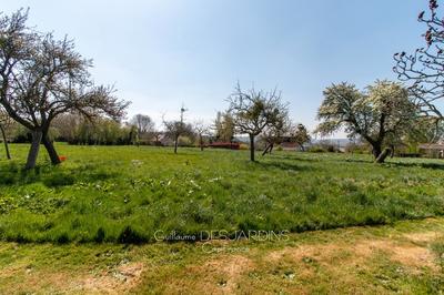 Terrain constructible - 4 000 m²