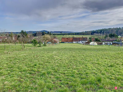 Terrain - 2 993 m²