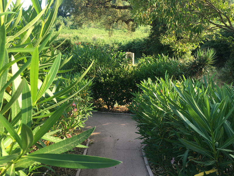 Appartement - 240 m² - 10 pièces