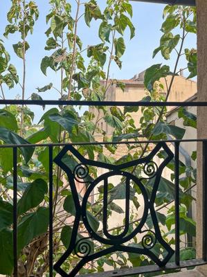 Appartement - 54 m² - 2 pièces