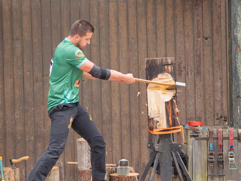 Fête de l'Environnement, de la Forêt et des métiers du Médoc (Fefomm)