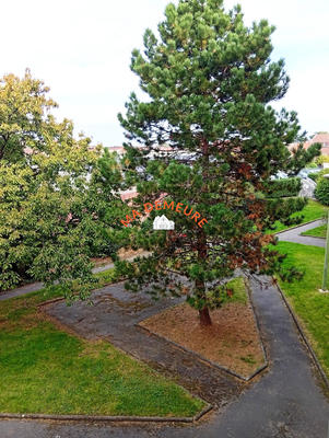 Appartement - 54 m² - 2 pièces