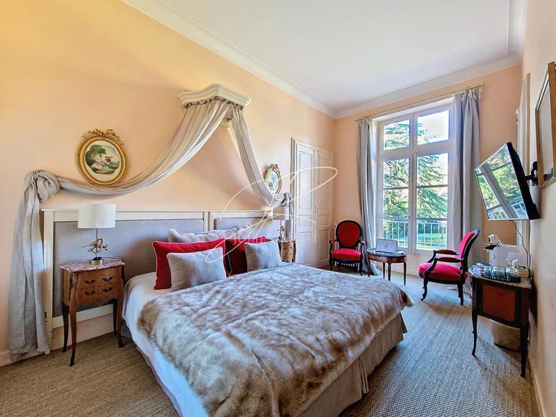 Château - 1 450 m² - 30 pièces