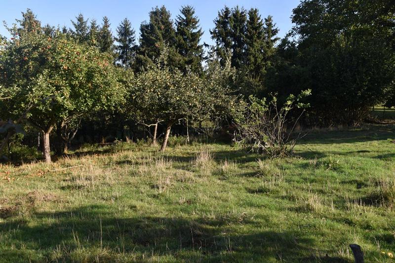 Terrain constructible - 1 778 m²