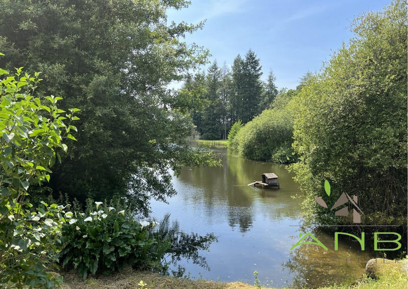 Villa - 480 m² - 17 pièces