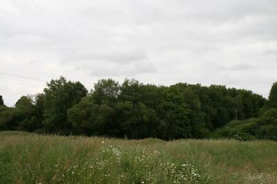 Terrain - 53 650 m²