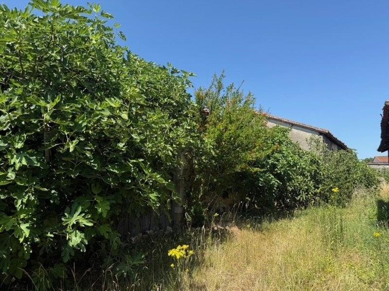 Maison - 127 m² - 1 pièce