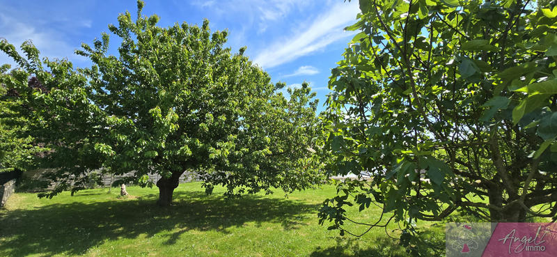 Maison - 118 m² - 6 pièces