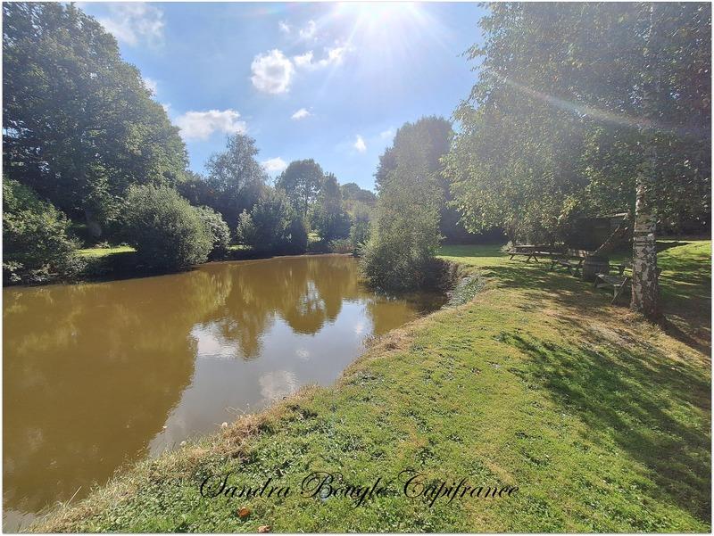 Maison en pierre - 174 m² - 10 pièces