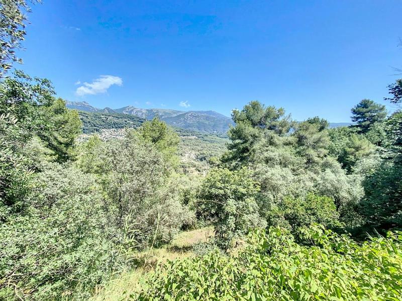 Terrain agricole - 11 360 m²