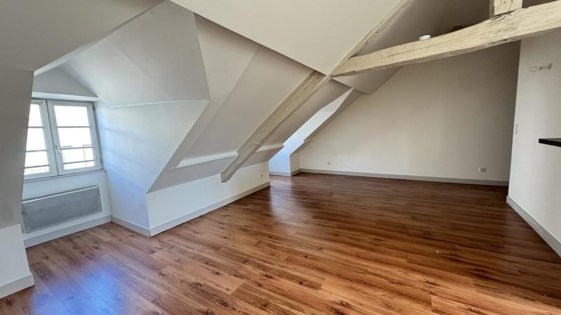 Appartement ancien - 46 m² - 1 pièce