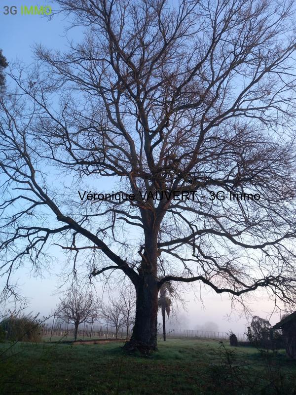 Villa - 169 m² - 8 pièces