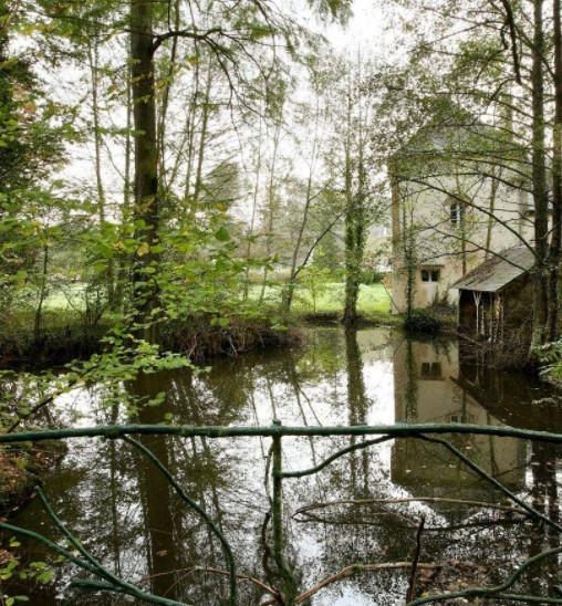 Manoir - 900 m² - 21 pièces