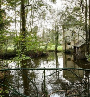 Manoir - 900 m² - 21 pièces