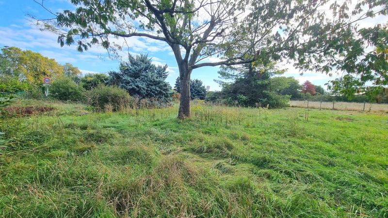 Maison traditionnelle - 225 m² - 6 pièces