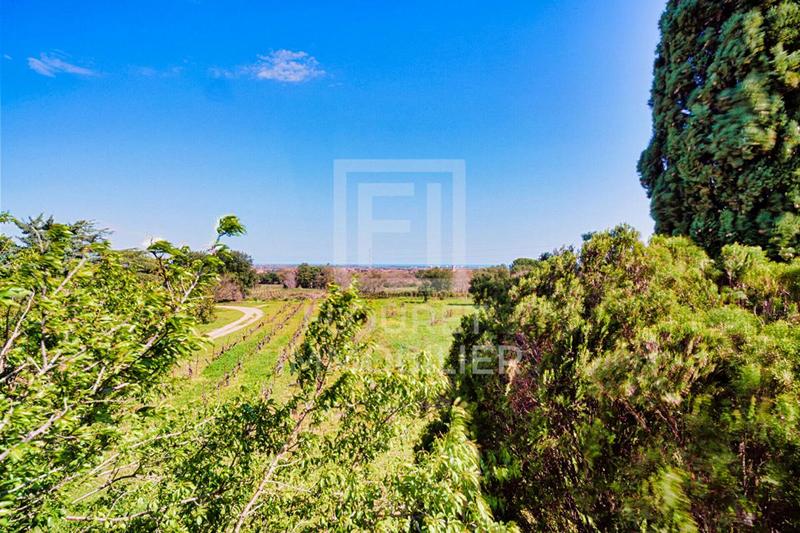 Propriété - 230 m² - 7 pièces