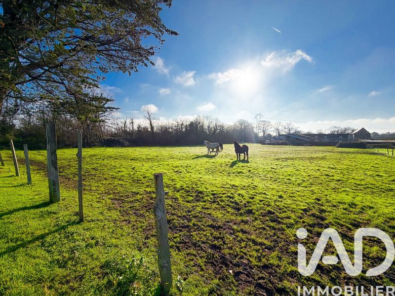 Maison - 333 m² - 7 pièces