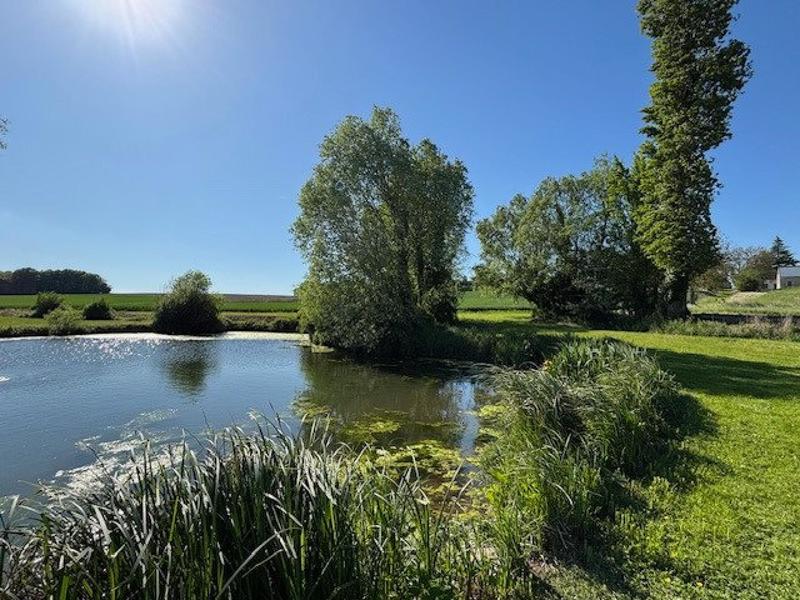 Maison - 230 m² - 8 pièces