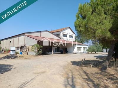 Local commercial - 1 099 m² - 10 pièces