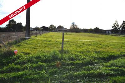 Terrain constructible - 2 250 m²