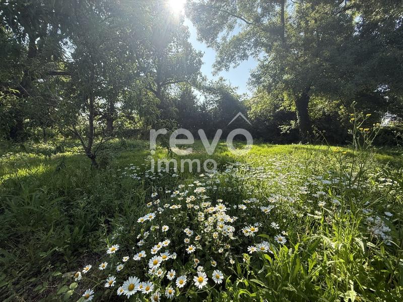 Terrain constructible - 1 134 m²