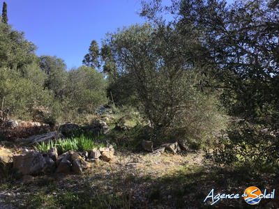 Villa - 121 m² - 4 pièces