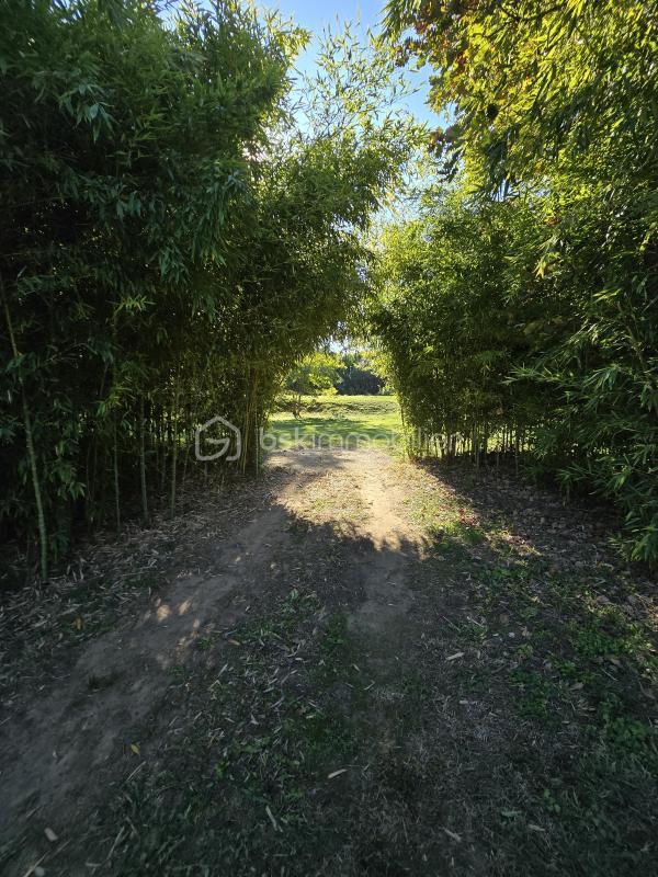 Corps de ferme - 142 m² - 6 pièces