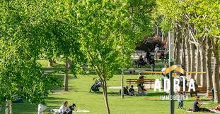 Appartement - 26 m² - 1 pièce