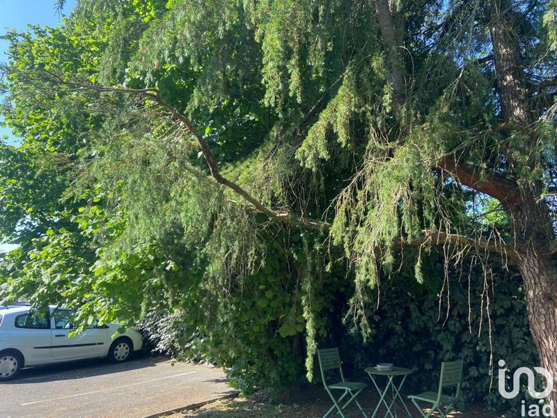 Local commercial - 1 160 m²