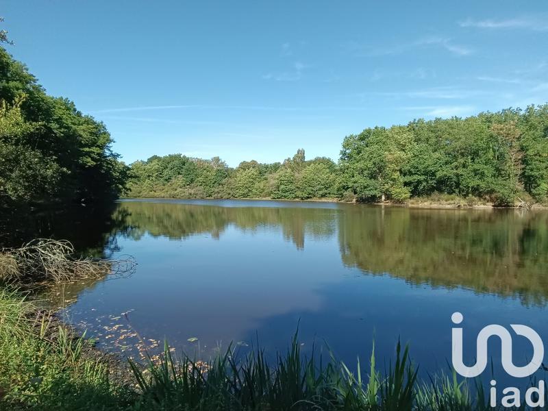 Terrain - 37 398 m²