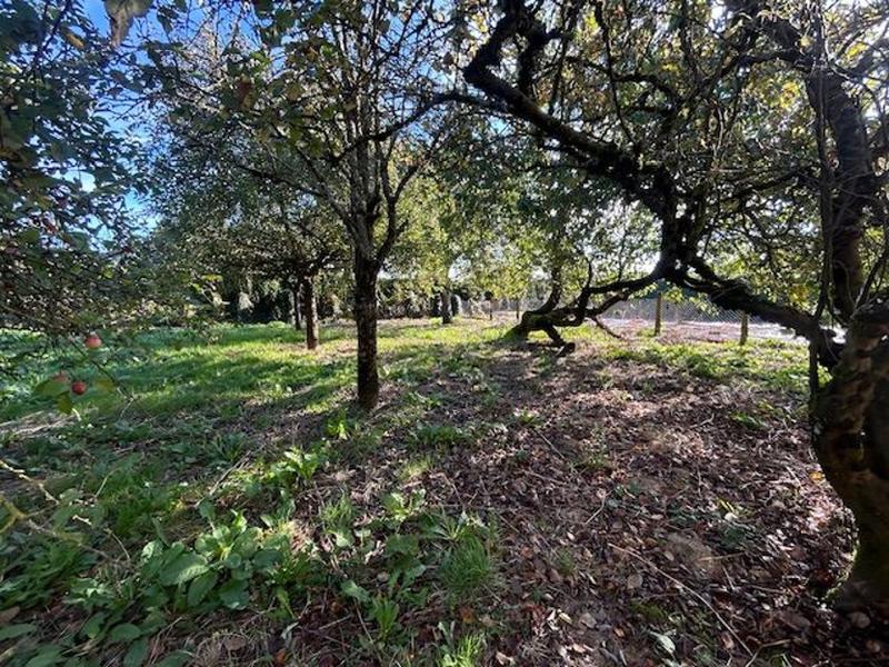 Maison - 124 m² - 6 pièces