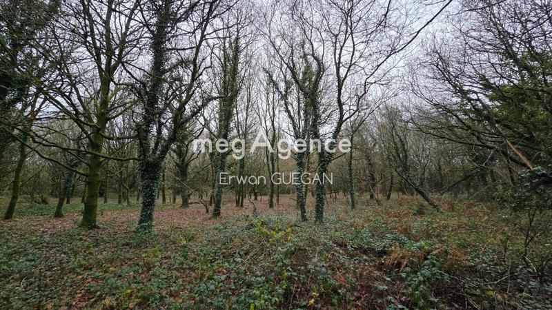 Maison - 393 m² - 14 pièces