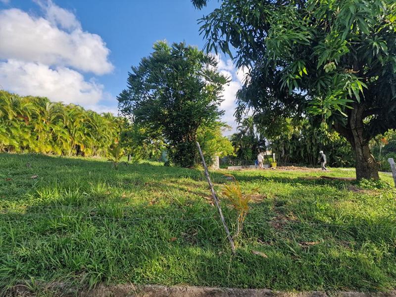 Terrain constructible - 1 215 m²