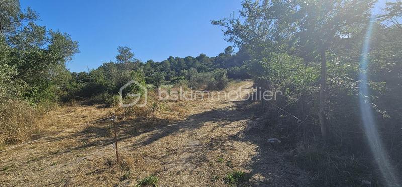 Terrain agricole - 15 401 m²