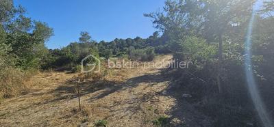 Terrain agricole - 15 401 m²