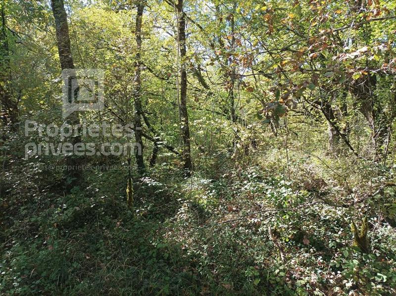 Terrain - 45 150 m²