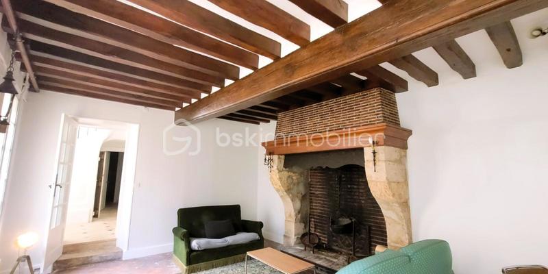 Hôtel particulier - 440 m² - 14 pièces