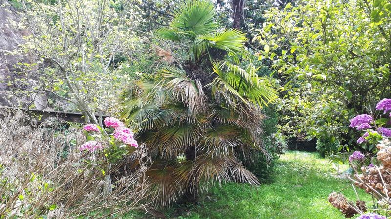 Maison - 254 m² - 10 pièces