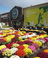 Gamm Vert Agri Sud Est