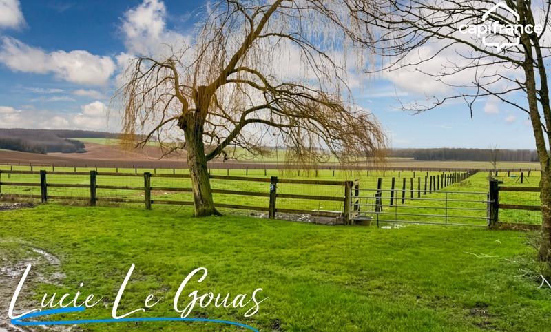 Haras - 239 m² - 9 pièces