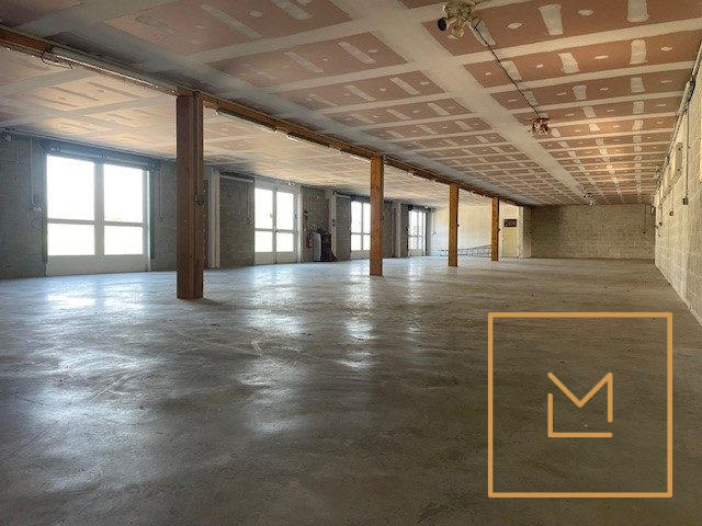 Entrepôt - 1 100 m²