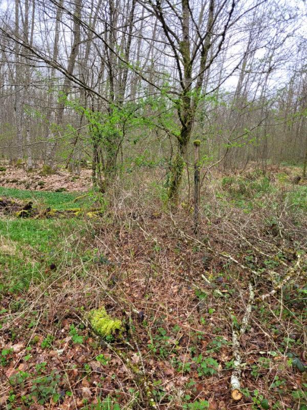 Étang - 142 558 m²