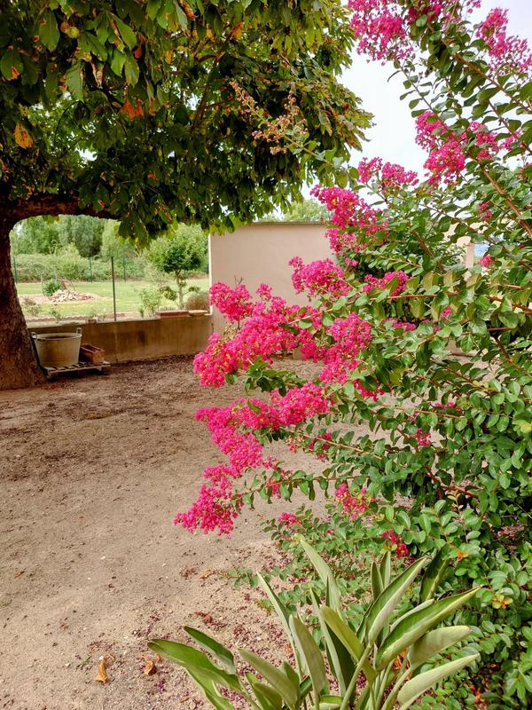 Maison - 184 m² - 10 pièces