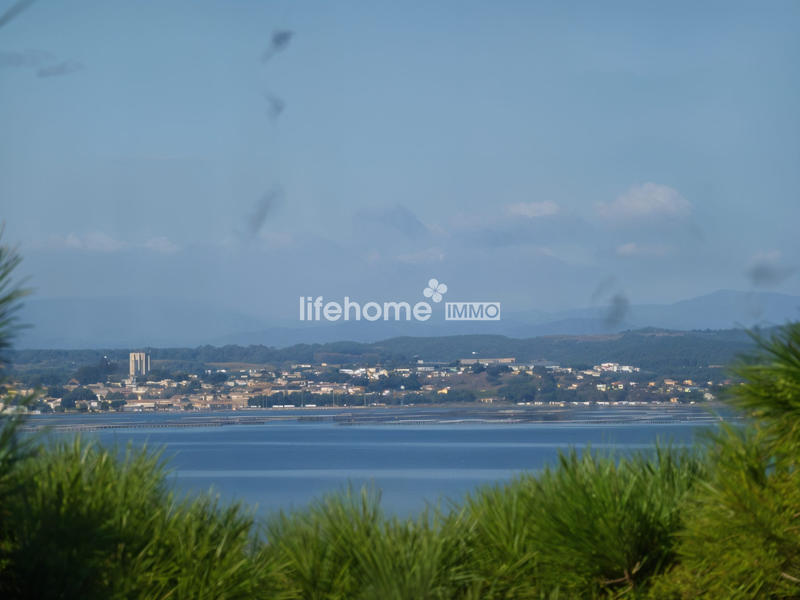 Appartement - 56 m² - 2 pièces