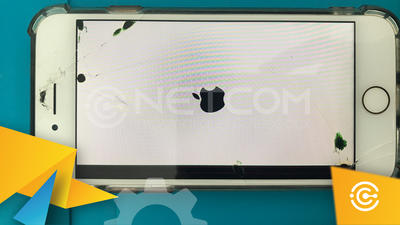 Netcomin Informatique